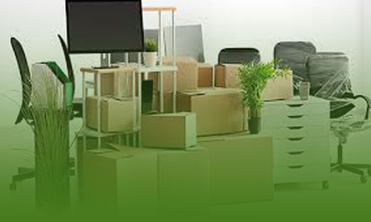 Movers Packers Services